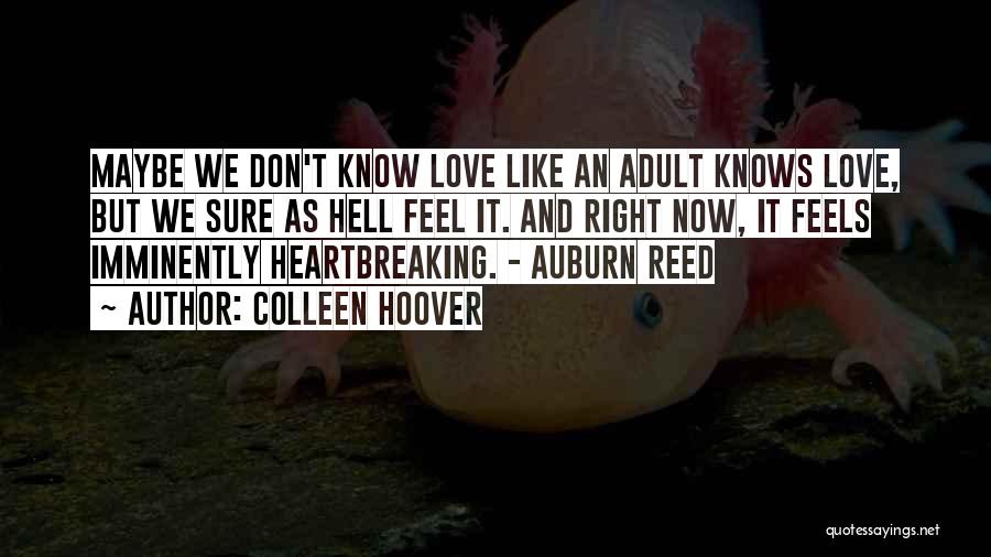 Colleen Hoover Quotes: Maybe We Don't Know Love Like An Adult Knows Love, But We Sure As Hell Feel It. And Right Now,