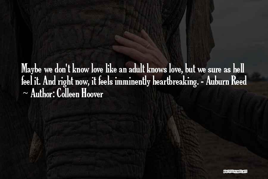 Colleen Hoover Quotes: Maybe We Don't Know Love Like An Adult Knows Love, But We Sure As Hell Feel It. And Right Now,