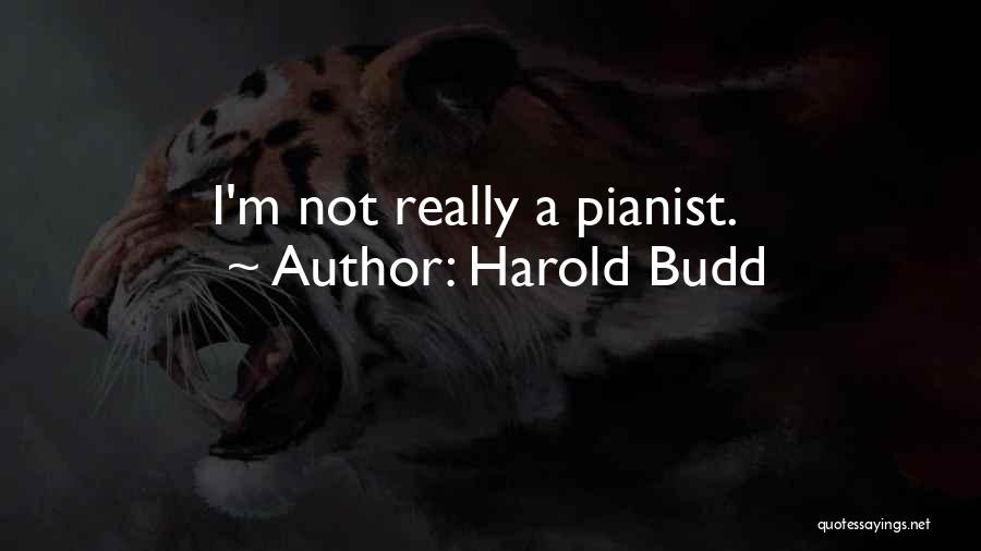 Harold Budd Quotes: I'm Not Really A Pianist.