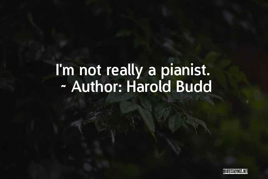 Harold Budd Quotes: I'm Not Really A Pianist.