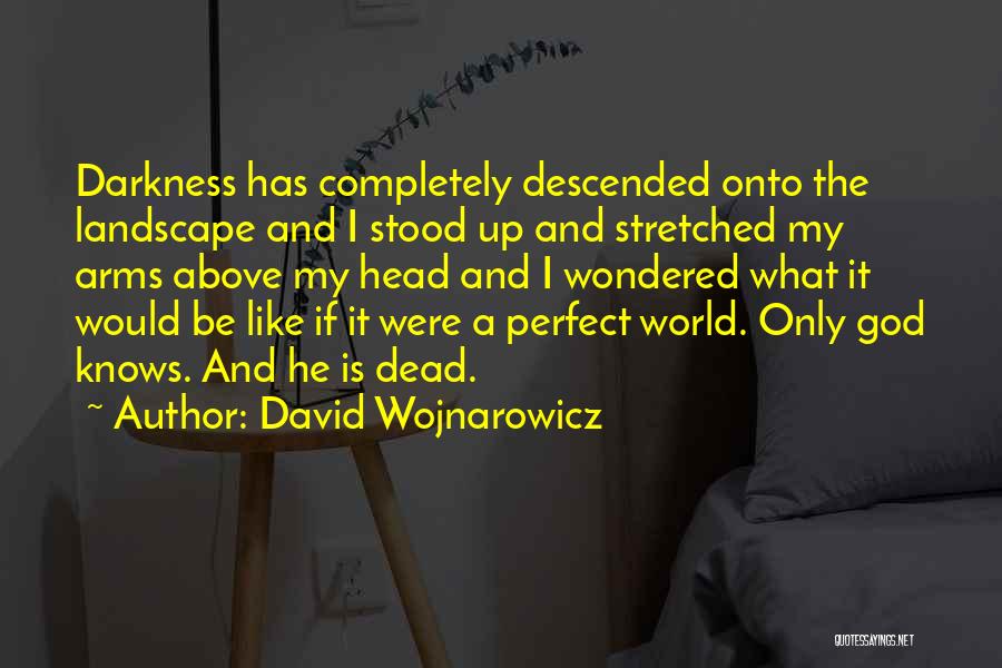 David Wojnarowicz Quotes: Darkness Has Completely Descended Onto The Landscape And I Stood Up And Stretched My Arms Above My Head And I