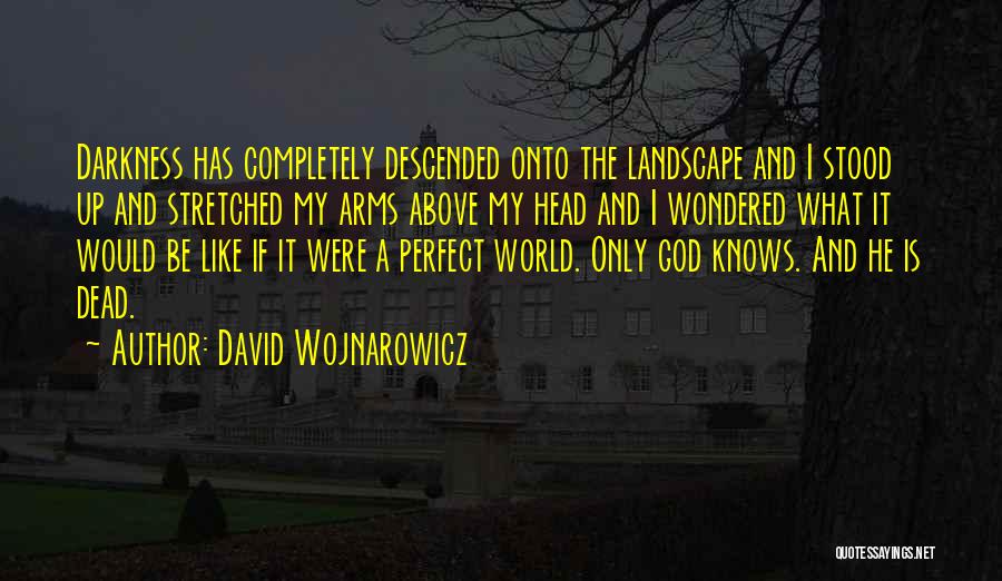 David Wojnarowicz Quotes: Darkness Has Completely Descended Onto The Landscape And I Stood Up And Stretched My Arms Above My Head And I