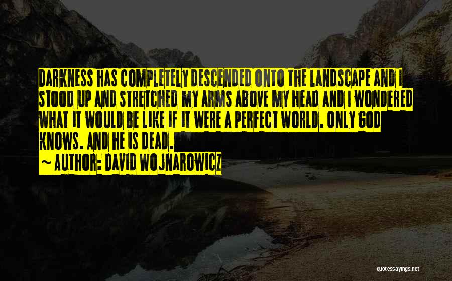 David Wojnarowicz Quotes: Darkness Has Completely Descended Onto The Landscape And I Stood Up And Stretched My Arms Above My Head And I