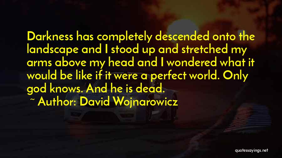 David Wojnarowicz Quotes: Darkness Has Completely Descended Onto The Landscape And I Stood Up And Stretched My Arms Above My Head And I