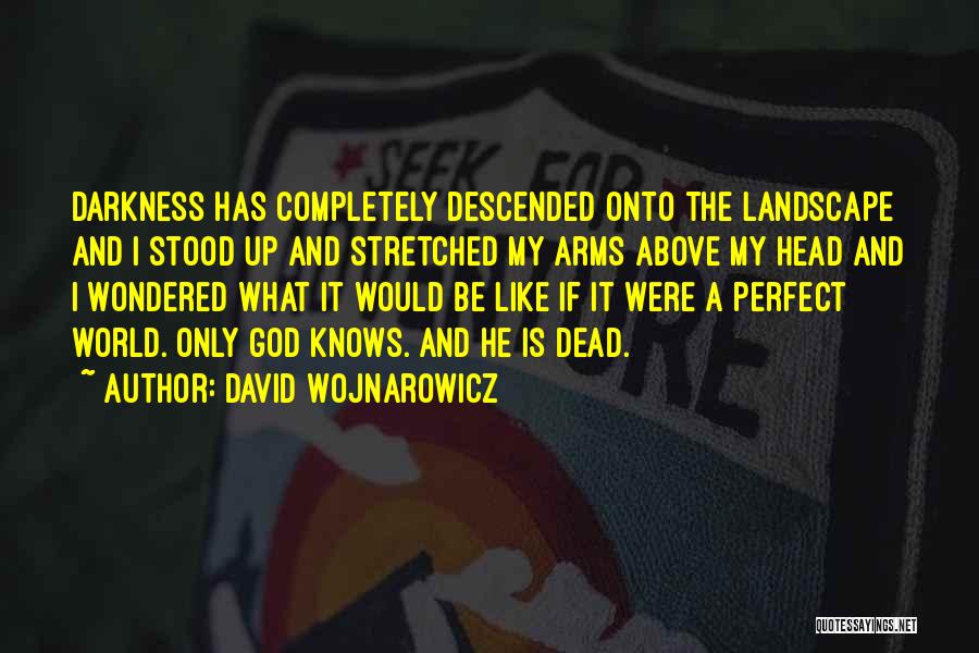 David Wojnarowicz Quotes: Darkness Has Completely Descended Onto The Landscape And I Stood Up And Stretched My Arms Above My Head And I