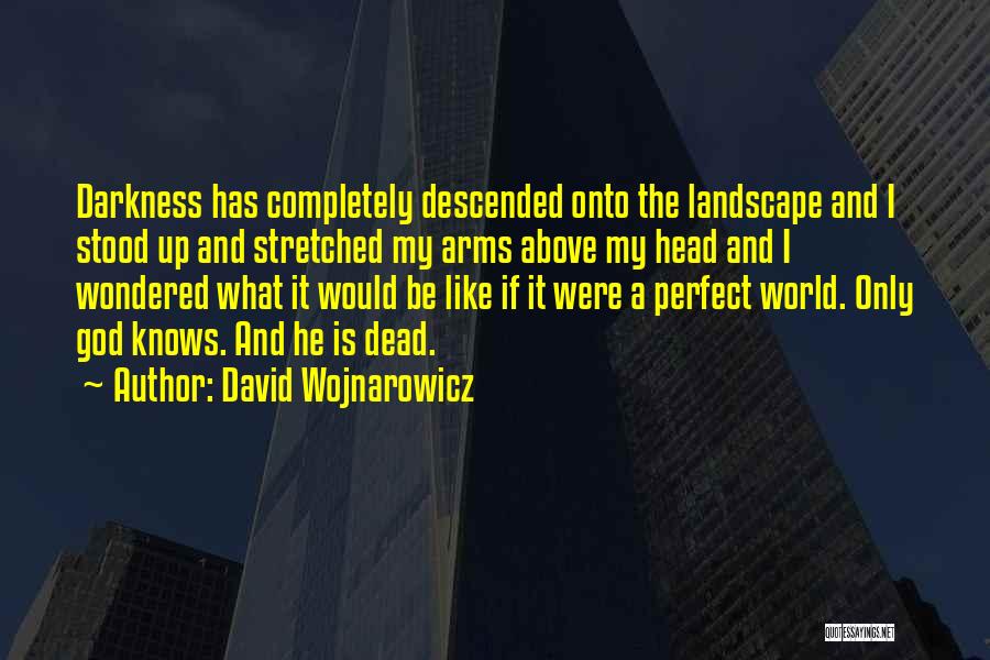 David Wojnarowicz Quotes: Darkness Has Completely Descended Onto The Landscape And I Stood Up And Stretched My Arms Above My Head And I