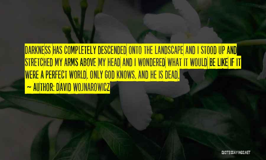 David Wojnarowicz Quotes: Darkness Has Completely Descended Onto The Landscape And I Stood Up And Stretched My Arms Above My Head And I