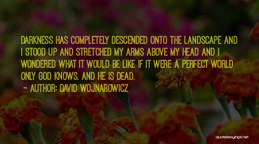 David Wojnarowicz Quotes: Darkness Has Completely Descended Onto The Landscape And I Stood Up And Stretched My Arms Above My Head And I