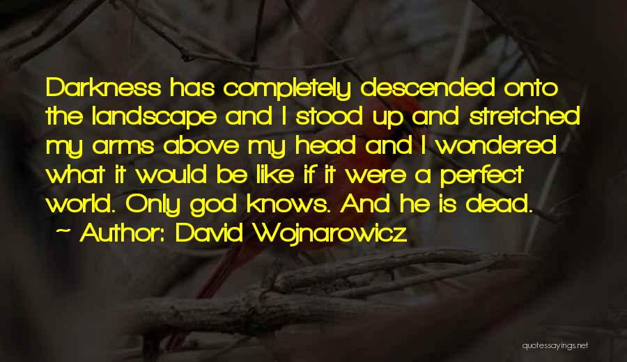 David Wojnarowicz Quotes: Darkness Has Completely Descended Onto The Landscape And I Stood Up And Stretched My Arms Above My Head And I