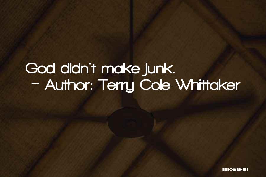 Terry Cole-Whittaker Quotes: God Didn't Make Junk.