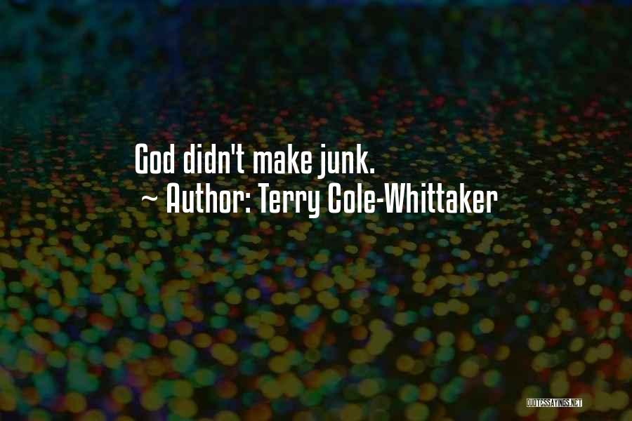 Terry Cole-Whittaker Quotes: God Didn't Make Junk.