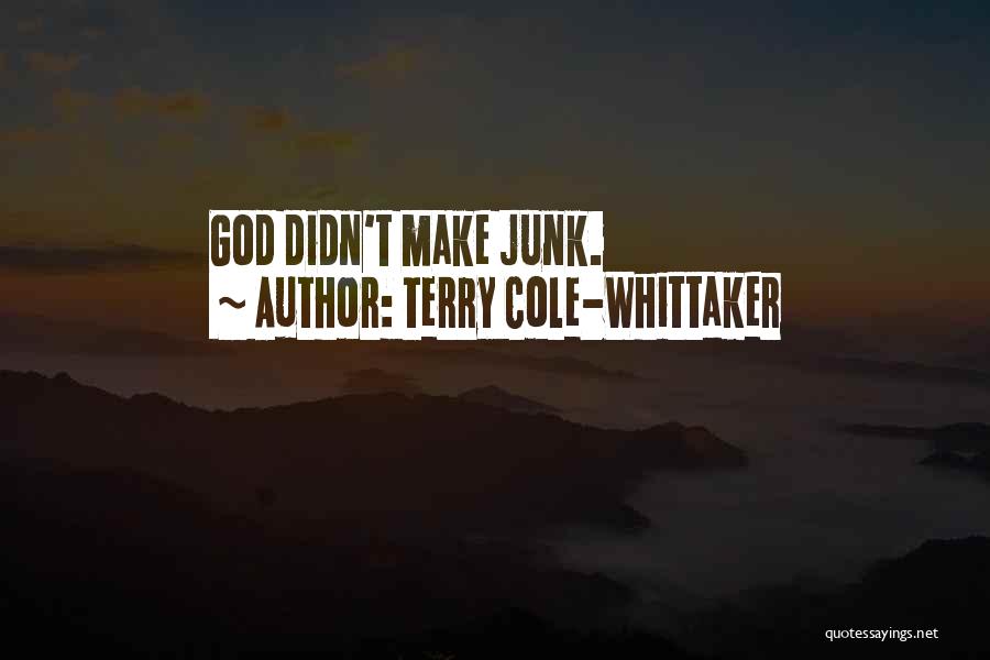 Terry Cole-Whittaker Quotes: God Didn't Make Junk.