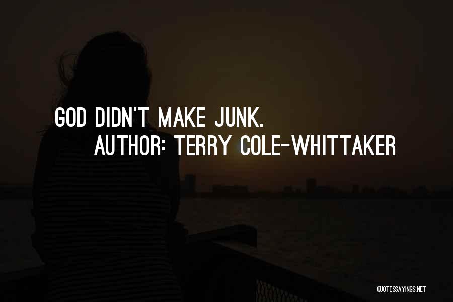 Terry Cole-Whittaker Quotes: God Didn't Make Junk.