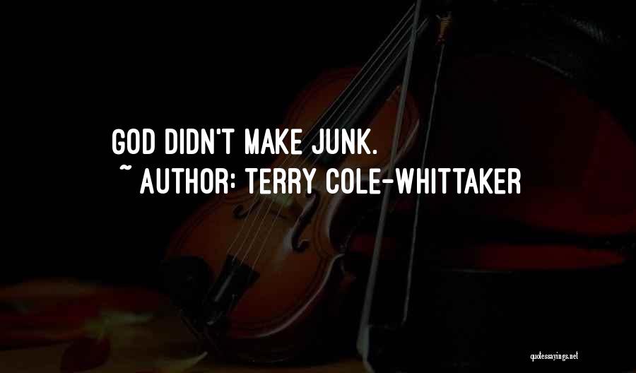 Terry Cole-Whittaker Quotes: God Didn't Make Junk.