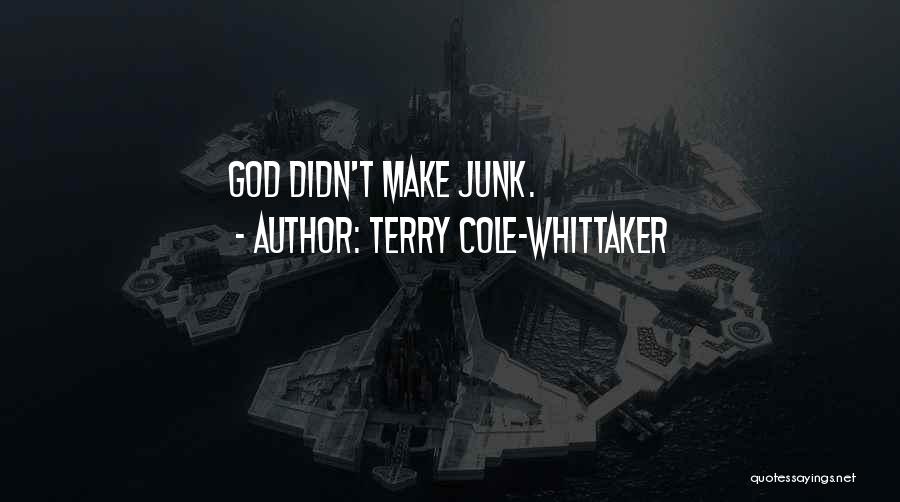 Terry Cole-Whittaker Quotes: God Didn't Make Junk.