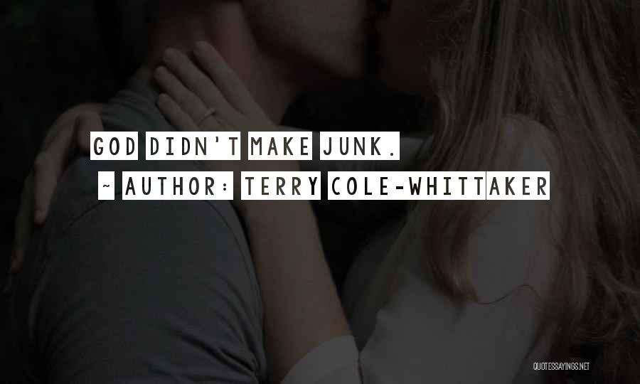 Terry Cole-Whittaker Quotes: God Didn't Make Junk.