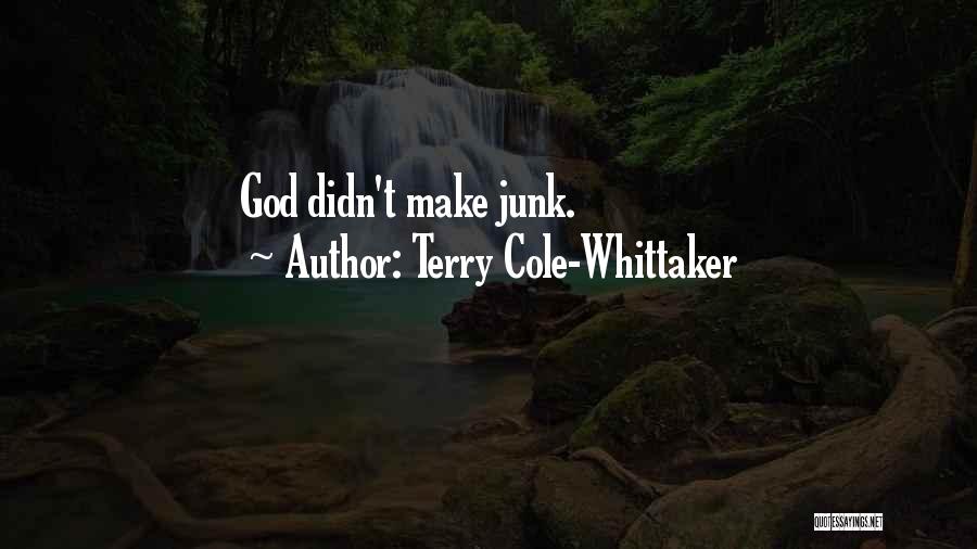 Terry Cole-Whittaker Quotes: God Didn't Make Junk.