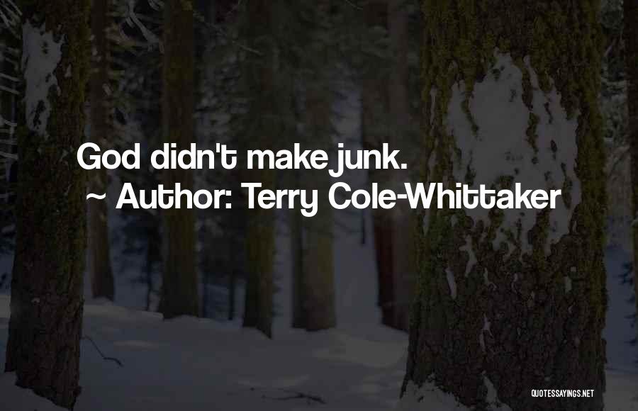 Terry Cole-Whittaker Quotes: God Didn't Make Junk.
