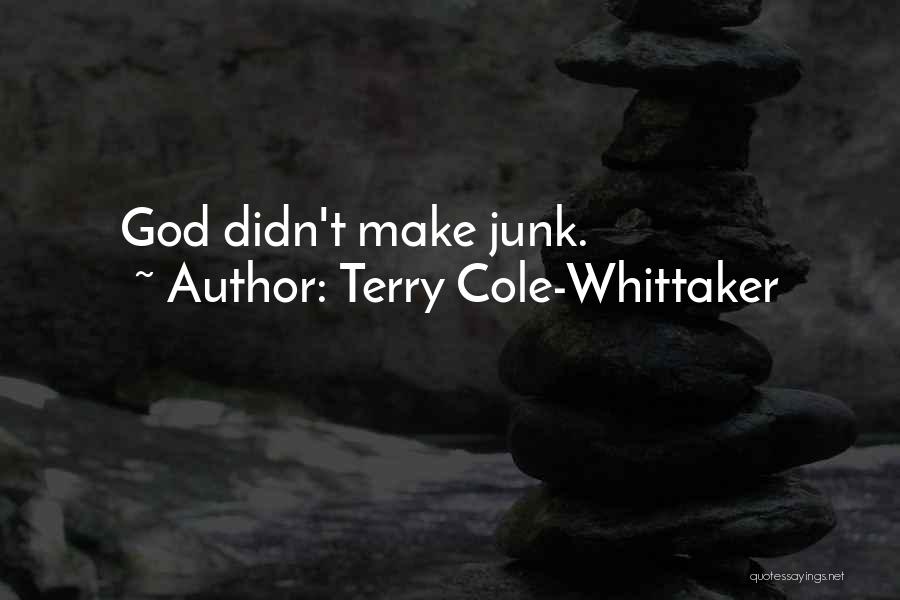 Terry Cole-Whittaker Quotes: God Didn't Make Junk.