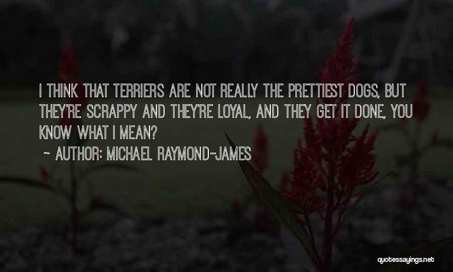 Michael Raymond-James Quotes: I Think That Terriers Are Not Really The Prettiest Dogs, But They're Scrappy And They're Loyal, And They Get It