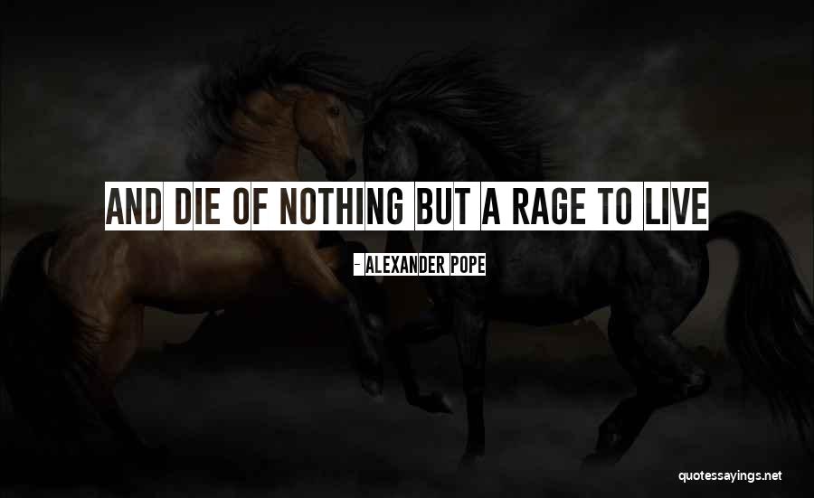 13th Warrior Quotes By Alexander Pope 13th Warrior Quotes By Alexander Pope