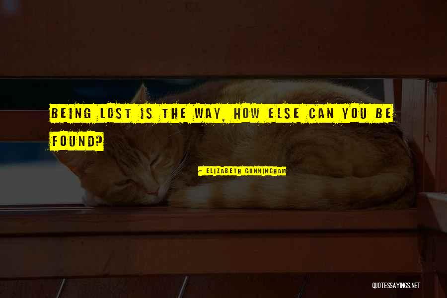 14 Above Quotes By Elizabeth Cunningham 14 Above Quotes By Elizabeth Cunningham