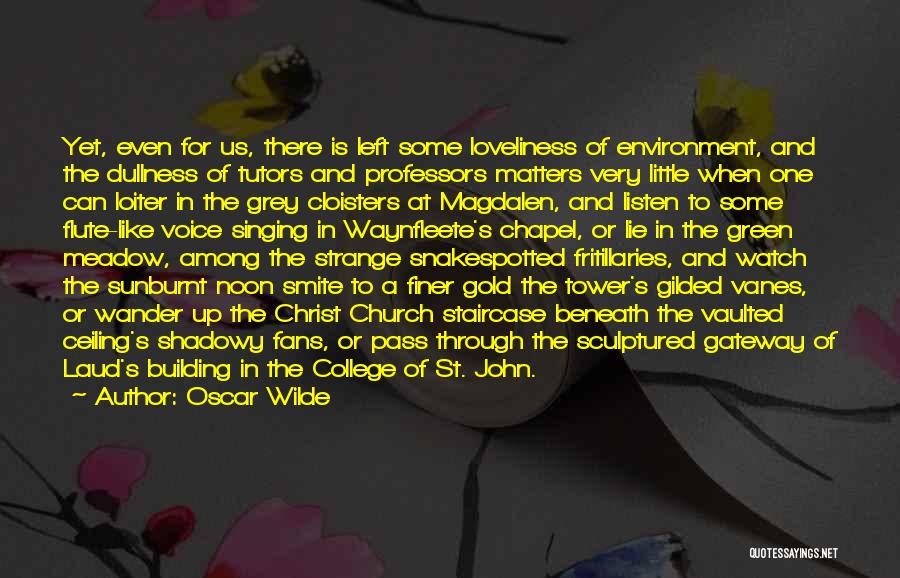 Oscar Wilde Quotes: Yet, Even For Us, There Is Left Some Loveliness Of Environment, And The Dullness Of Tutors And Professors Matters Very