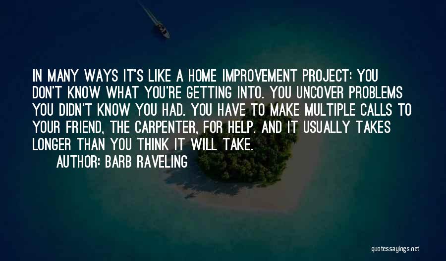 Barb Raveling Quotes: In Many Ways It's Like A Home Improvement Project: You Don't Know What You're Getting Into. You Uncover Problems You