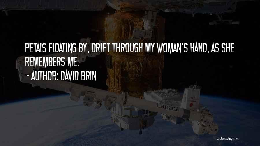 David Brin Quotes: Petals Floating By, Drift Through My Woman's Hand, As She Remembers Me.