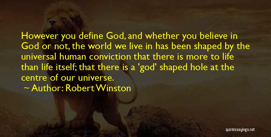 Robert Winston Quotes: However You Define God, And Whether You Believe In God Or Not, The World We Live In Has Been Shaped