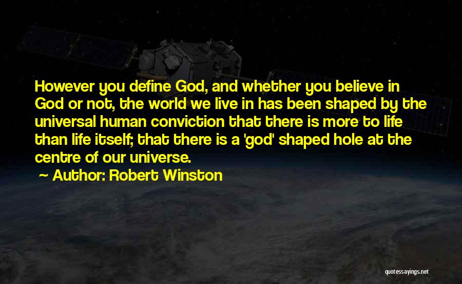 Robert Winston Quotes: However You Define God, And Whether You Believe In God Or Not, The World We Live In Has Been Shaped