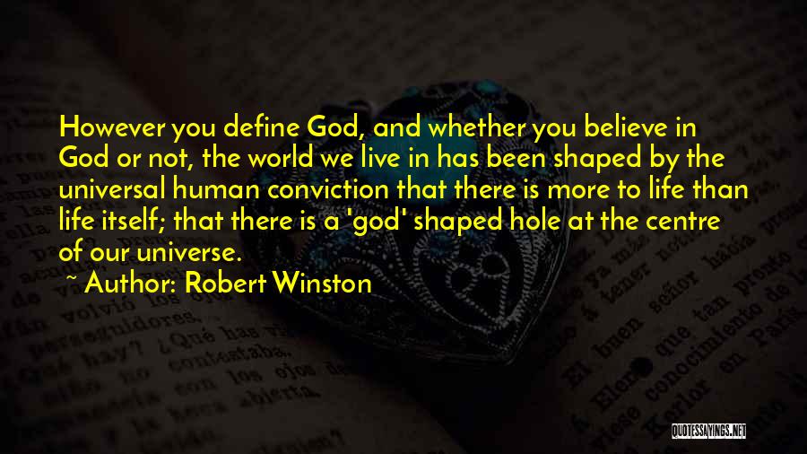 Robert Winston Quotes: However You Define God, And Whether You Believe In God Or Not, The World We Live In Has Been Shaped