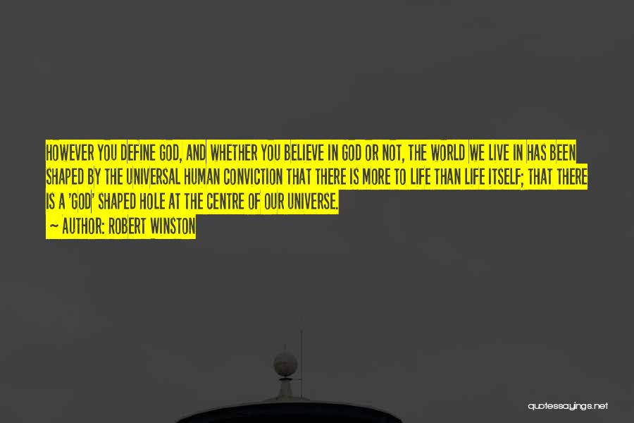 Robert Winston Quotes: However You Define God, And Whether You Believe In God Or Not, The World We Live In Has Been Shaped
