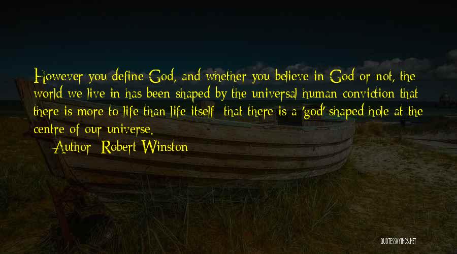 Robert Winston Quotes: However You Define God, And Whether You Believe In God Or Not, The World We Live In Has Been Shaped