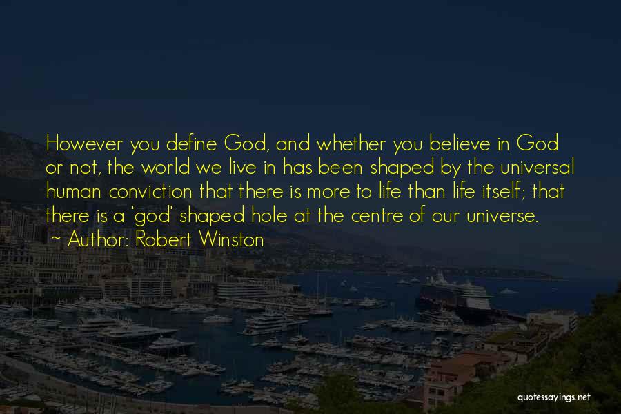 Robert Winston Quotes: However You Define God, And Whether You Believe In God Or Not, The World We Live In Has Been Shaped