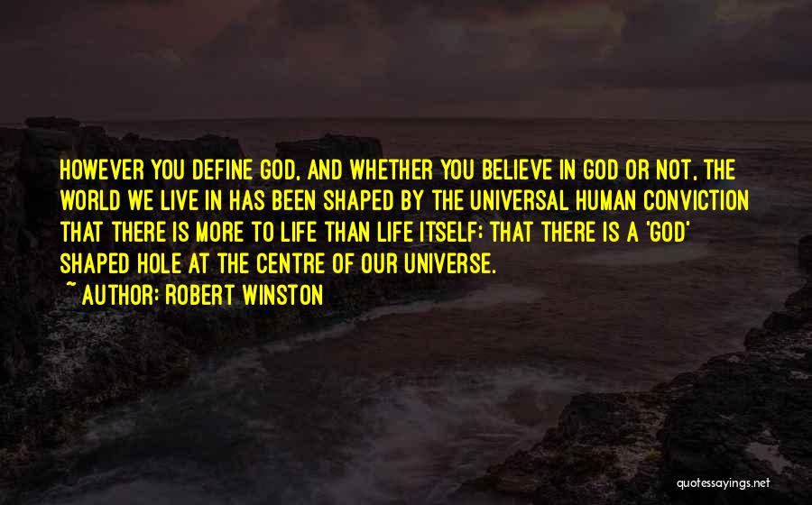 Robert Winston Quotes: However You Define God, And Whether You Believe In God Or Not, The World We Live In Has Been Shaped