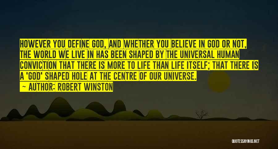 Robert Winston Quotes: However You Define God, And Whether You Believe In God Or Not, The World We Live In Has Been Shaped