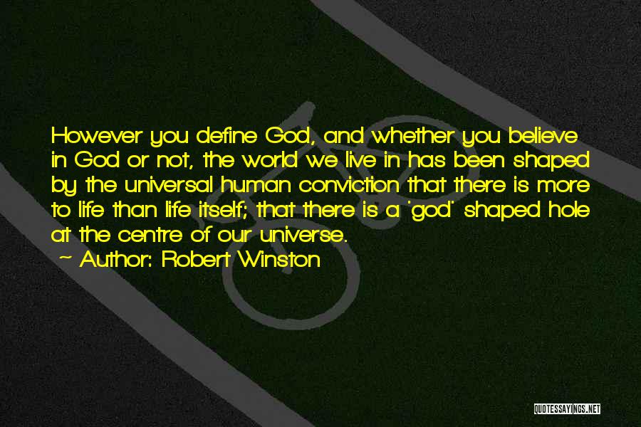 Robert Winston Quotes: However You Define God, And Whether You Believe In God Or Not, The World We Live In Has Been Shaped