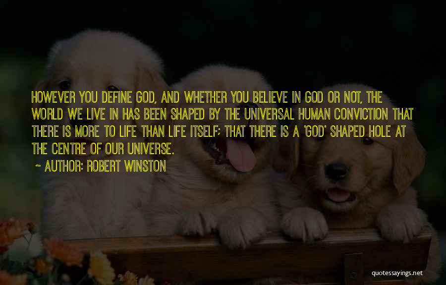Robert Winston Quotes: However You Define God, And Whether You Believe In God Or Not, The World We Live In Has Been Shaped