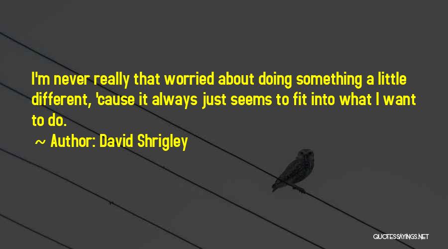 David Shrigley Quotes: I'm Never Really That Worried About Doing Something A Little Different, 'cause It Always Just Seems To Fit Into What