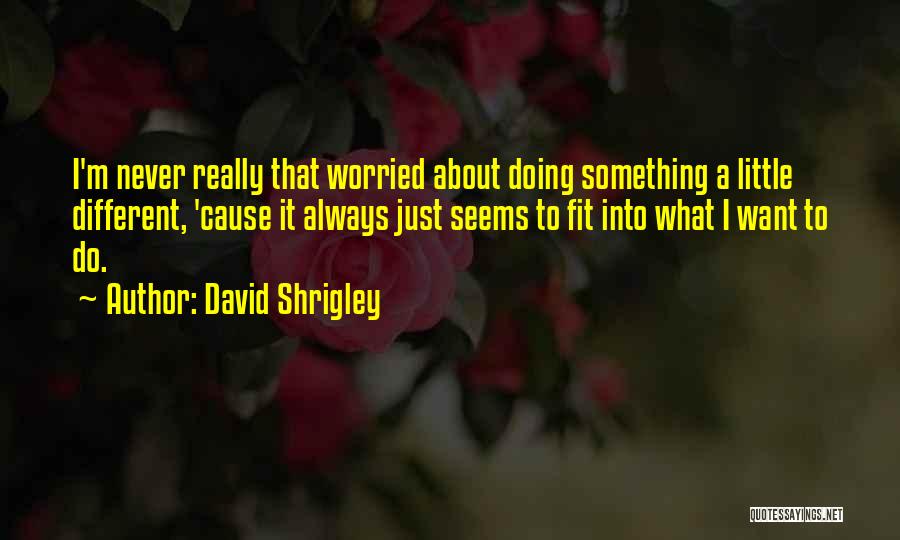 David Shrigley Quotes: I'm Never Really That Worried About Doing Something A Little Different, 'cause It Always Just Seems To Fit Into What