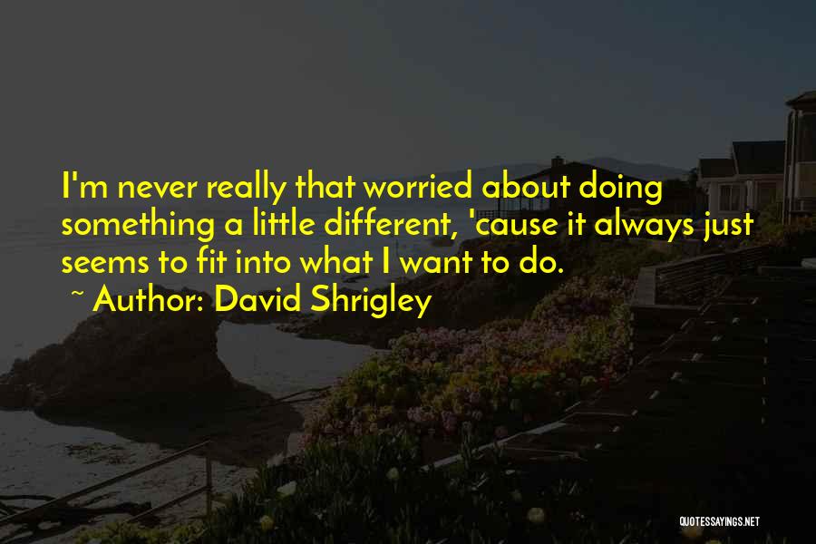 David Shrigley Quotes: I'm Never Really That Worried About Doing Something A Little Different, 'cause It Always Just Seems To Fit Into What