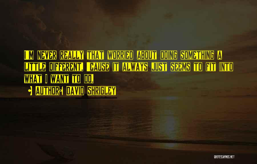 David Shrigley Quotes: I'm Never Really That Worried About Doing Something A Little Different, 'cause It Always Just Seems To Fit Into What