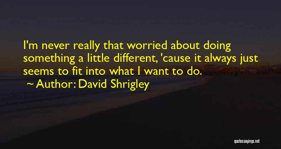 David Shrigley Quotes: I'm Never Really That Worried About Doing Something A Little Different, 'cause It Always Just Seems To Fit Into What