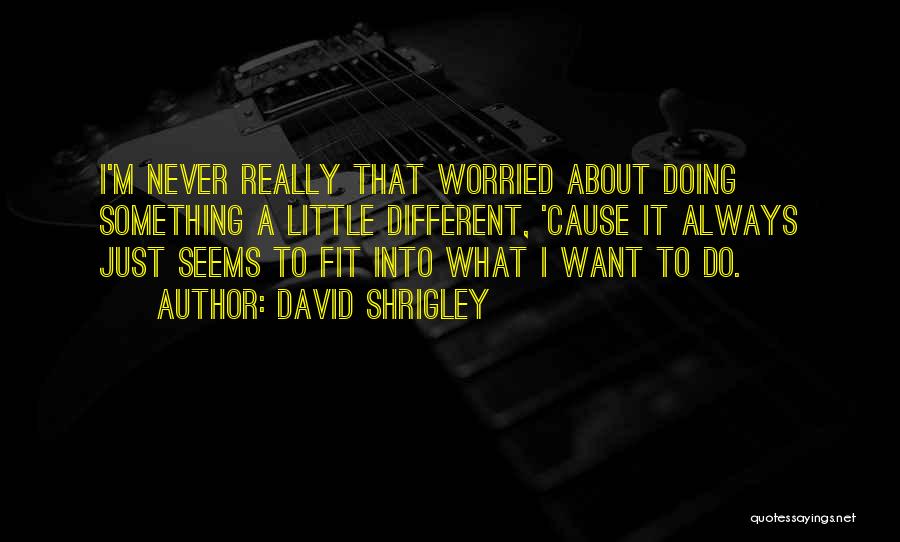 David Shrigley Quotes: I'm Never Really That Worried About Doing Something A Little Different, 'cause It Always Just Seems To Fit Into What