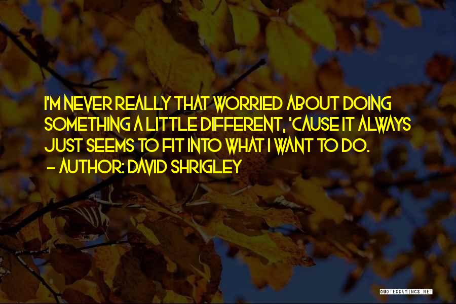 David Shrigley Quotes: I'm Never Really That Worried About Doing Something A Little Different, 'cause It Always Just Seems To Fit Into What