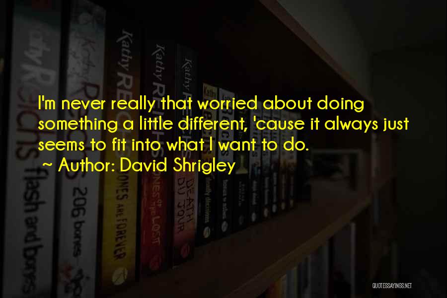 David Shrigley Quotes: I'm Never Really That Worried About Doing Something A Little Different, 'cause It Always Just Seems To Fit Into What