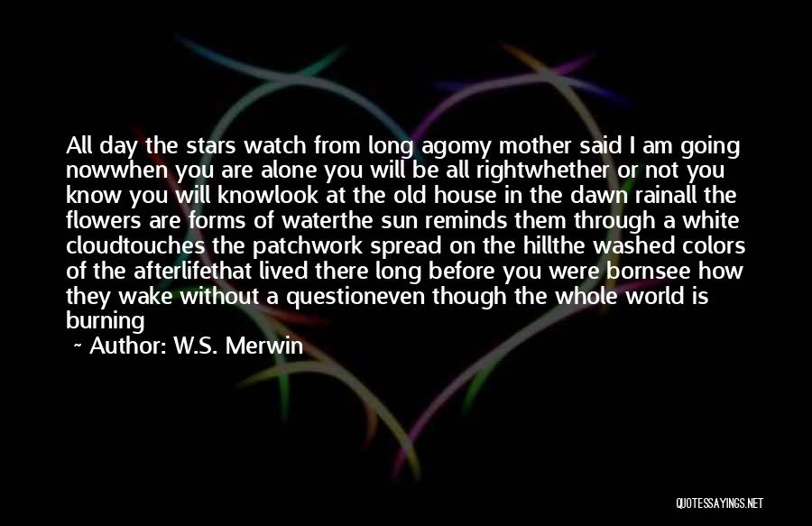 W.S. Merwin Quotes: All Day The Stars Watch From Long Agomy Mother Said I Am Going Nowwhen You Are Alone You Will Be