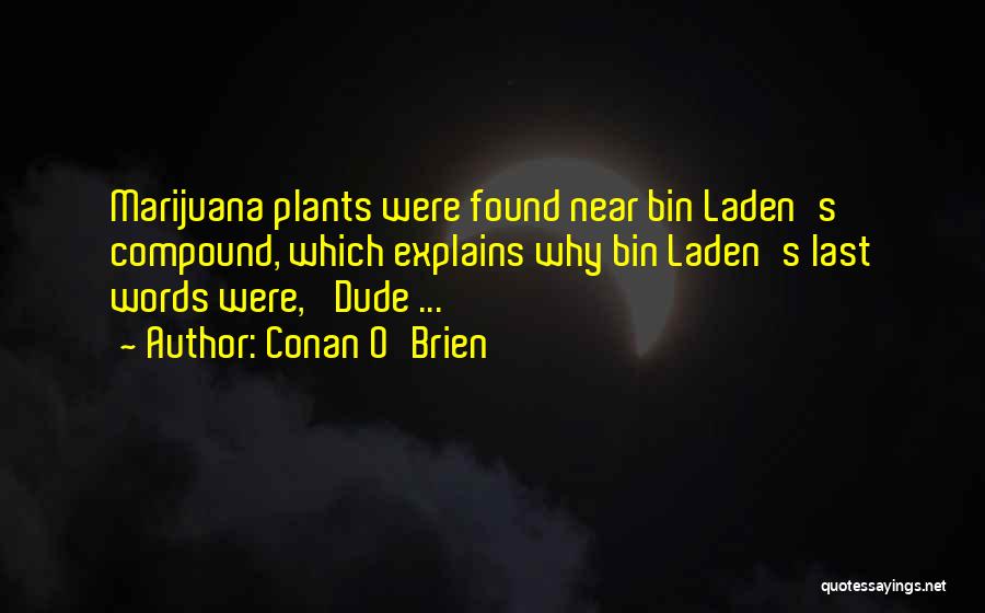 Conan O'Brien Quotes: Marijuana Plants Were Found Near Bin Laden's Compound, Which Explains Why Bin Laden's Last Words Were, 'dude ... '