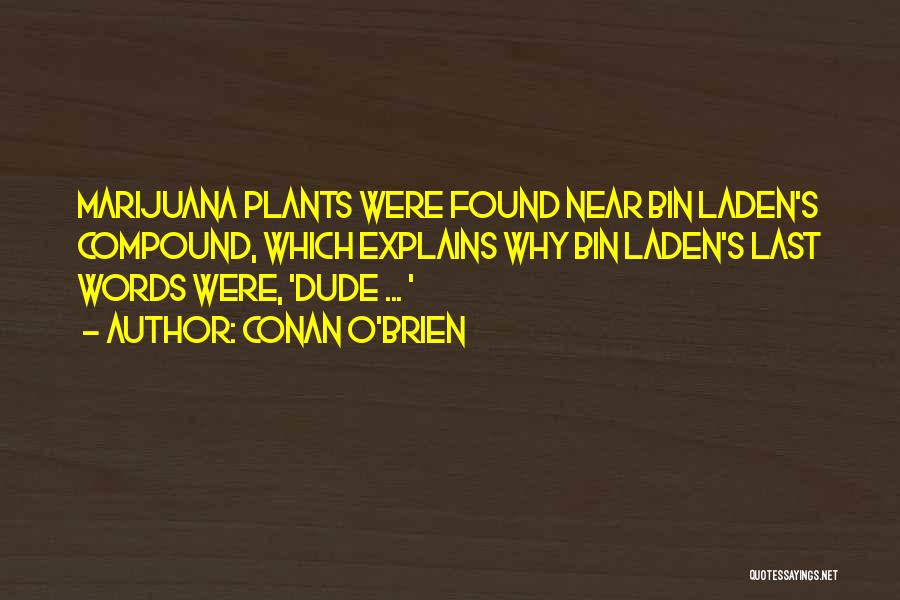 Conan O'Brien Quotes: Marijuana Plants Were Found Near Bin Laden's Compound, Which Explains Why Bin Laden's Last Words Were, 'dude ... '